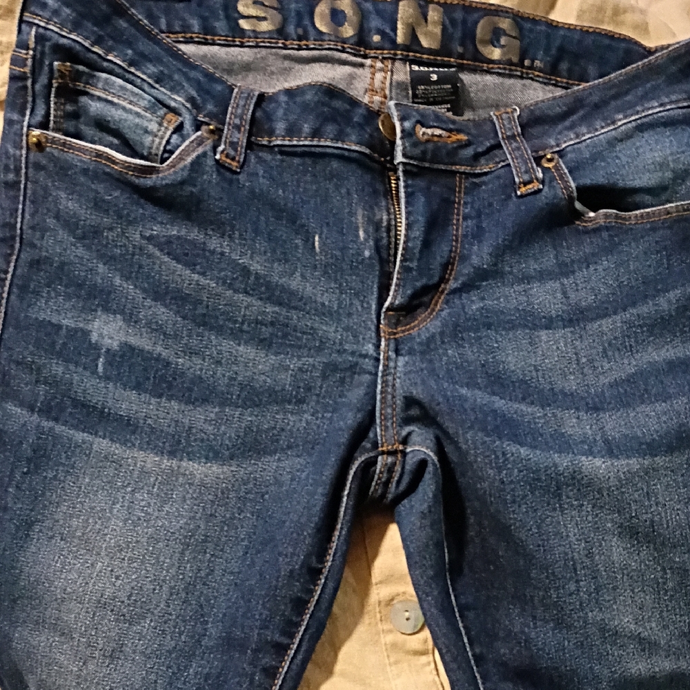 S.O.N.G. Women's Classic Blue Skinny Jeans